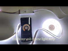 Φως λουρίδων ΣΠΑΔΙΚΩΝ