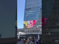 Ευέλικτη οθόνη