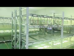 Χρόνος παραγωγής για ωρίμανση